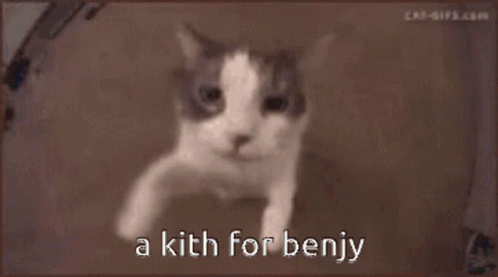 Cat Face Saying A Kith for Benjy