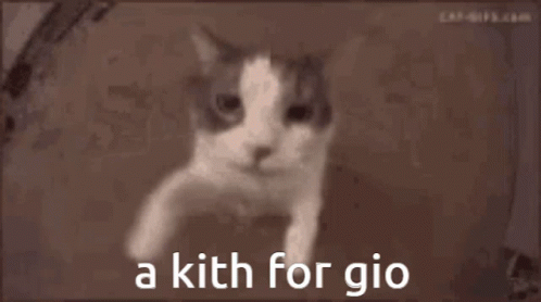 Cat Face Saying A Kith for Gio