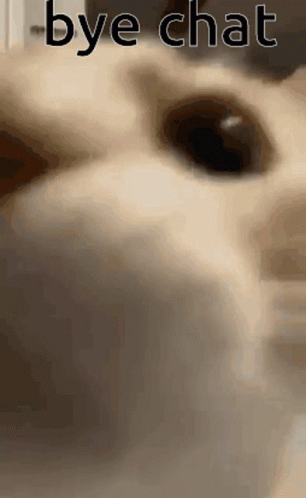 Cat Face Saying Bye Chat GIF