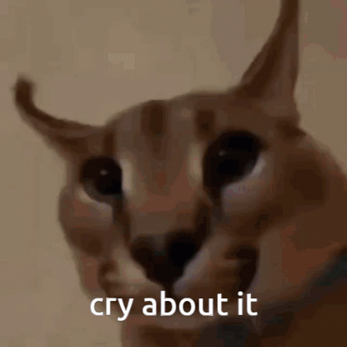 Cat Face Saying Cry About It