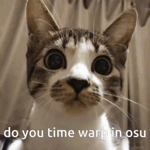 Cat Face Saying Do You Time Warp In Osu