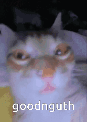 Cat Face Saying Goodnguth GIF