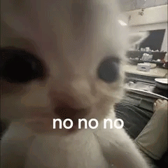 Cat Face Saying No No No