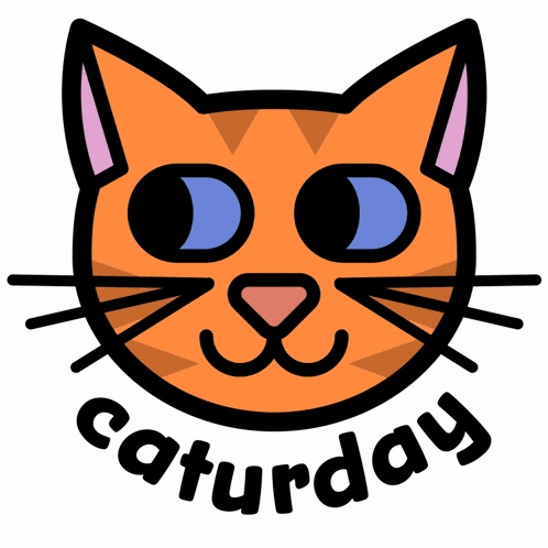 Cat Face Saying Saturday