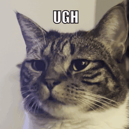 Cat Face Ugh