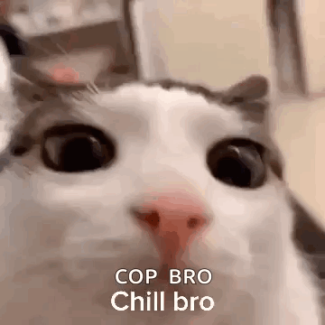 Cat Face With Cop Bro Chill Bro