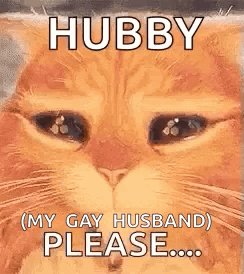 Cat Face With Hubby Please