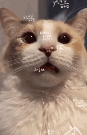 Cat Face with Math Equations