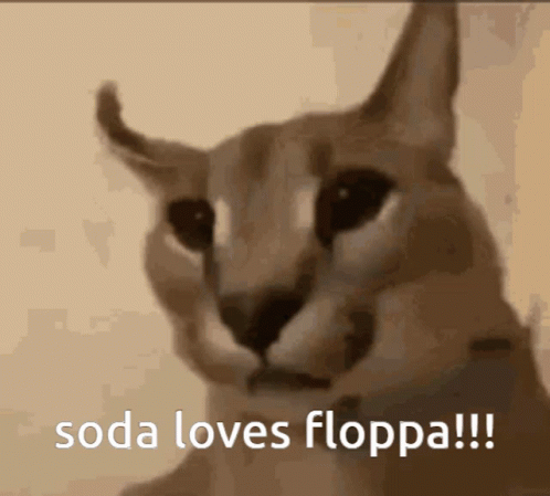 Cat Face With Soda Loves Floppa GIF