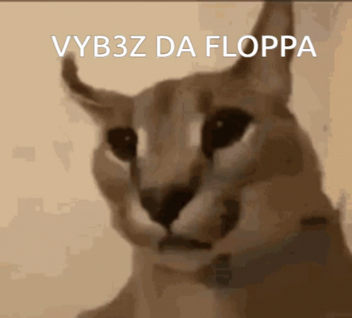 Cat Face With Vybz Da Floppa Text GIF