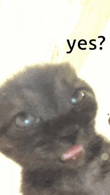 Cat Face With Yes