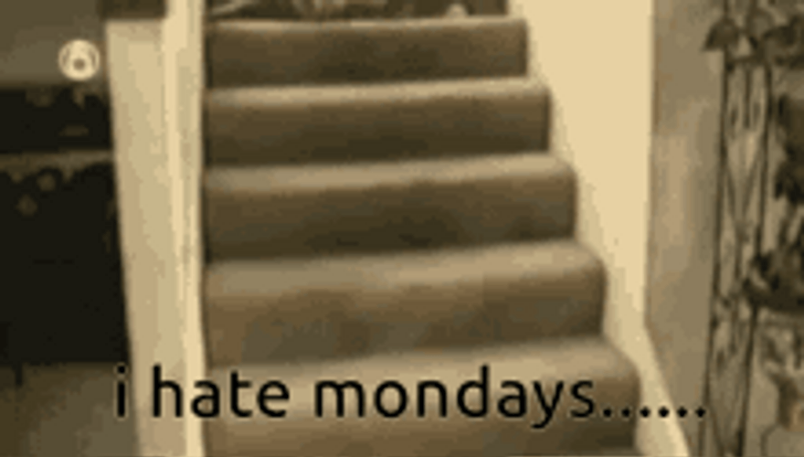 Cat Falling Down Stairs Hate Mondays GIF