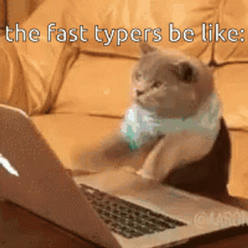 Cat Fast Computer Typing GIF