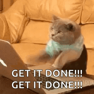 Cat Fast Typing Get It Done GIF