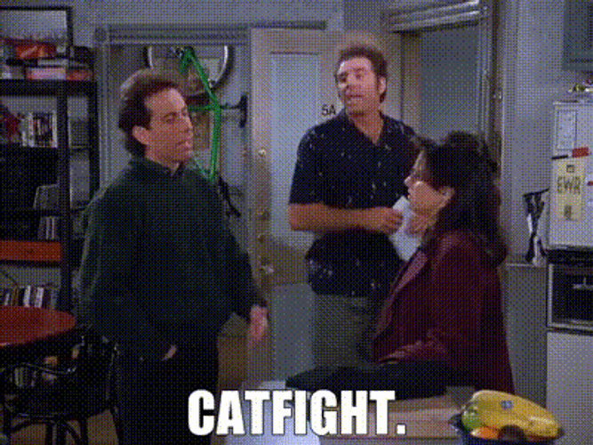 Cat Fight In A Dialog GIF
