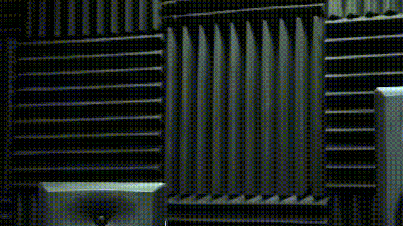 Cat Fight Star Trek Edit GIF