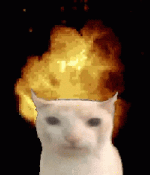 Cat Fire Explosion GIF.