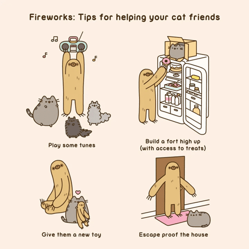 Cat Fireworks Tips Play Tunes Give Toy