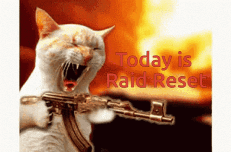 Cat Firing Guns Raid GIF