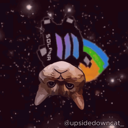 Cat Floating in Space With Solana Logo