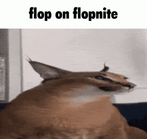 Cat Flop On Flopnite