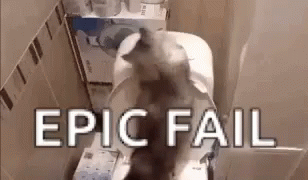 Cat Flushing Toilet Epic Fail GIF