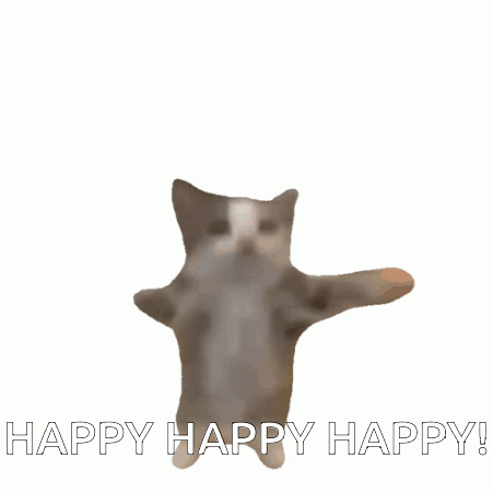 Cat Flying in Air With Happy Happy Happy