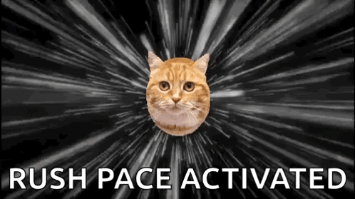Cat Flying in Space Rush Pace Activated