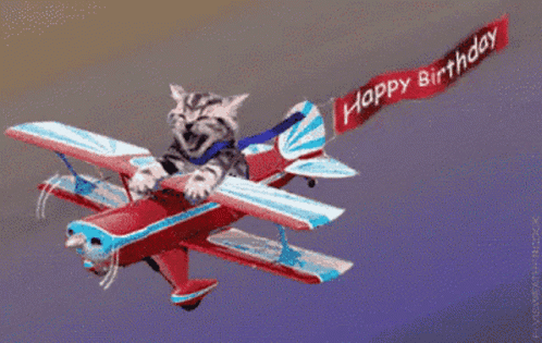 Cat Flying Plane Happy Birthday Banner