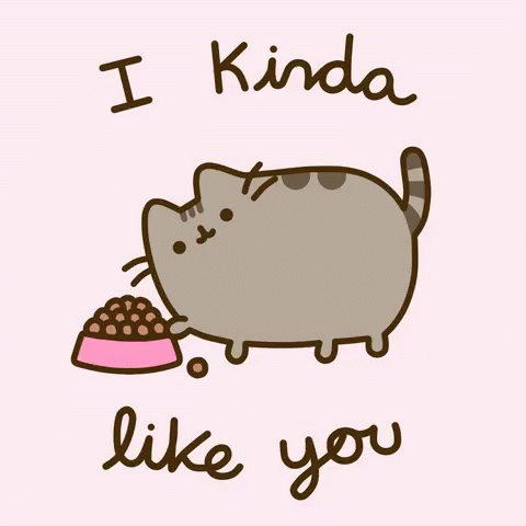 Cat Food Bowl Saying I Kinda Like You