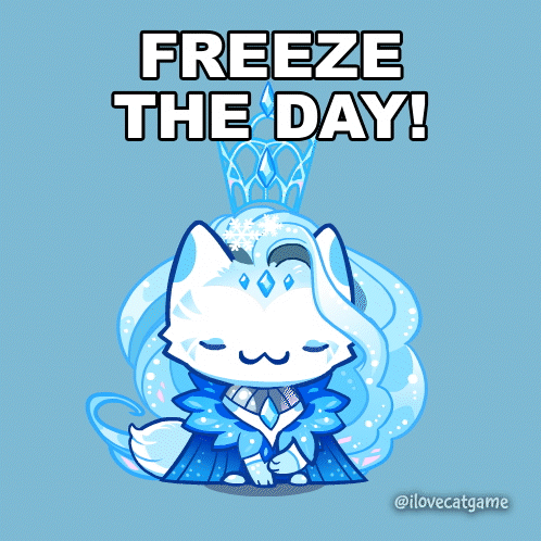 Cat Freeze The Day GIF