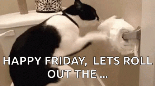 Cat Friday Lets Roll Out The Toilet Paper GIF