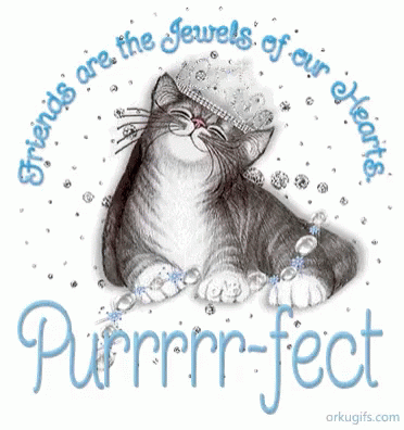 Cat Friends Are the Jewels of Our Hearts