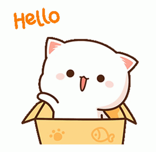 Cat From Box Wave Hello To Me GIF