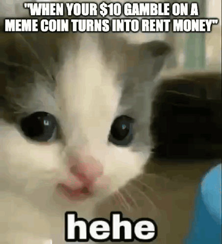Cat Funny Face Meme Coin to Rent Money