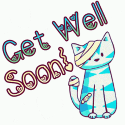 Cat Get Well Soon GIF 