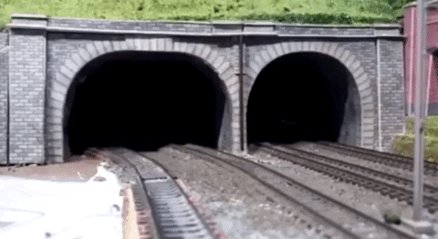 Cat Getting Out Of Train Tunnel GIF