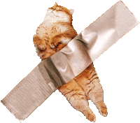 Cat Ginger Cat Sticker GIF