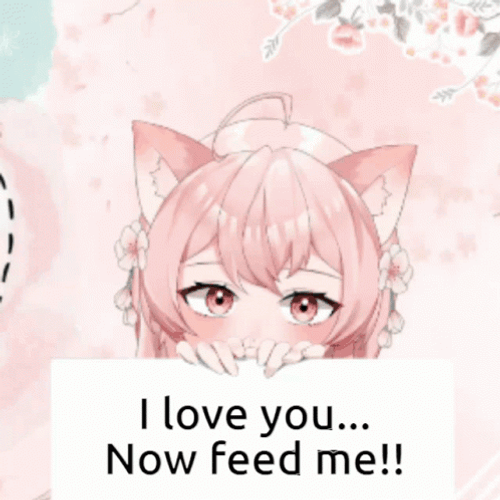 Cat Girl I Love You Feed Me  GIF
