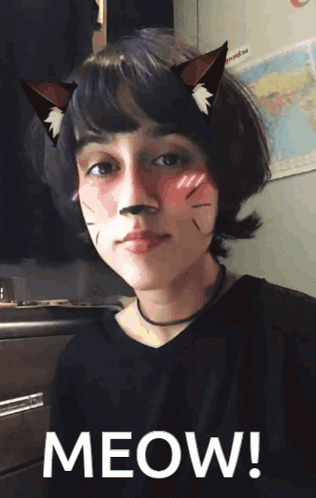 Cat Girl Real Cat GIF