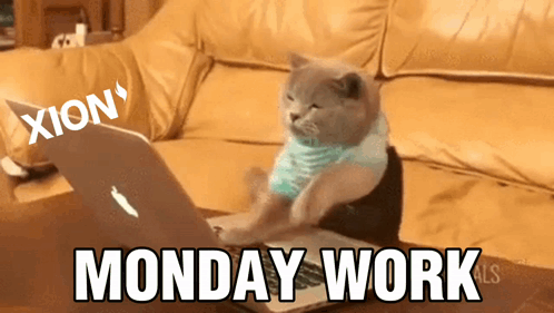 Cat Giving Extra Effort On Work Monday GIF
