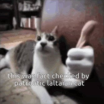 Cat Giving Thumbs Up On Couch GIF