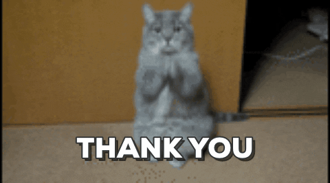 Cat Handshake Animated Thank You GIF