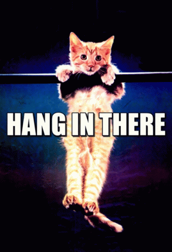 Cat Hanging From Bar Saying Hang In There GIF