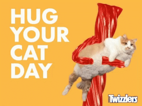 Cat Hanging From Red Candy Stick Hug Your Cat Day