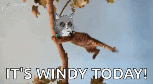 Cat Hanging From Tree Branch Saying It's Windy Today