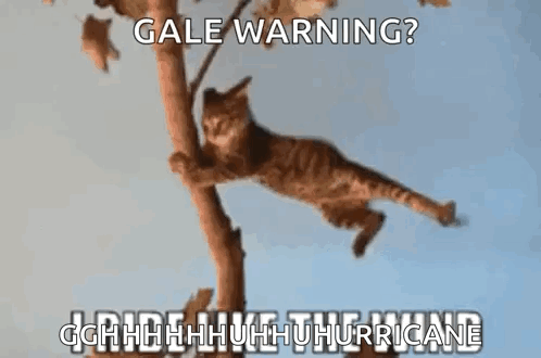 Cat Hanging From Tree Branch With Warning Message GIF