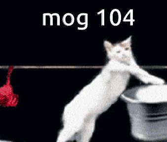 Cat Hanging Shirt On Clothes Line Mog 104 GIF