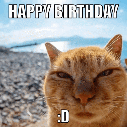Cat Happy Birthday Confetti Falling GIF
