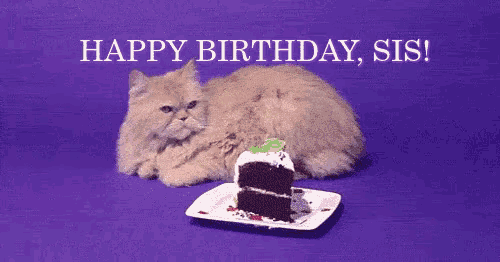 Cat Happy Birthday Sister Purple GIF